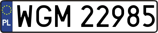 WGM22985