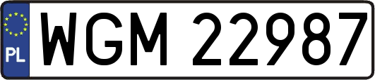WGM22987