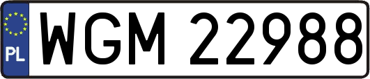 WGM22988