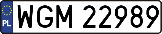 WGM22989