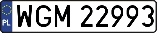WGM22993