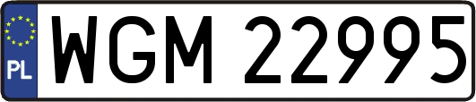 WGM22995