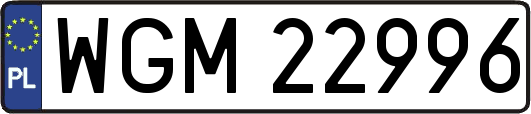 WGM22996