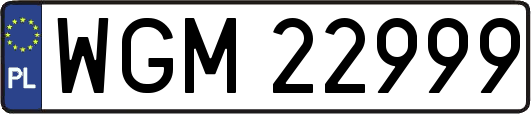 WGM22999