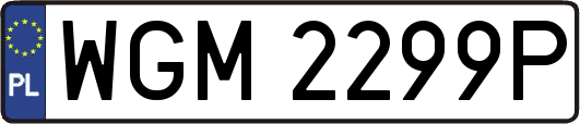 WGM2299P