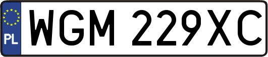 WGM229XC