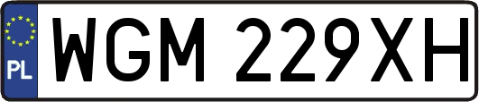 WGM229XH