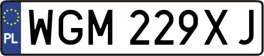 WGM229XJ