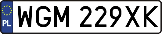 WGM229XK
