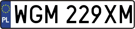 WGM229XM