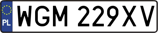 WGM229XV