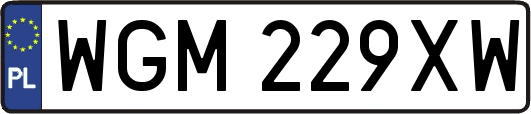 WGM229XW
