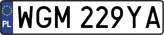 WGM229YA