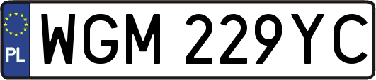 WGM229YC