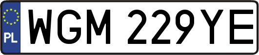 WGM229YE