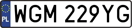 WGM229YG
