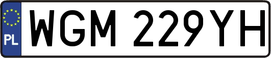 WGM229YH