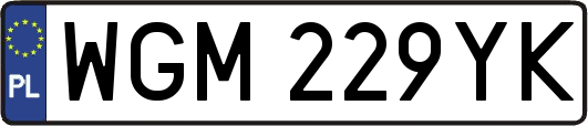 WGM229YK