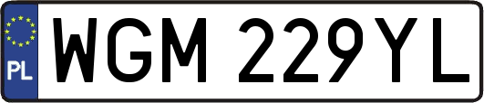 WGM229YL