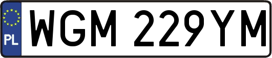 WGM229YM