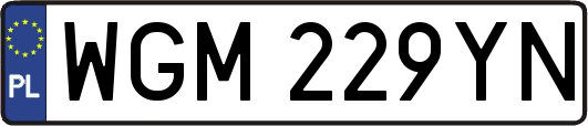 WGM229YN