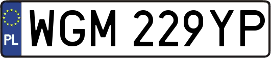 WGM229YP