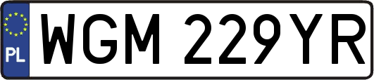 WGM229YR