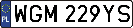 WGM229YS