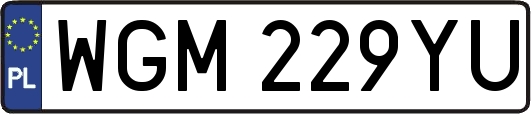 WGM229YU