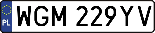 WGM229YV