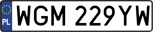 WGM229YW