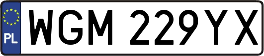 WGM229YX