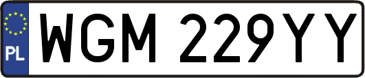 WGM229YY