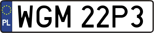 WGM22P3