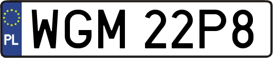 WGM22P8