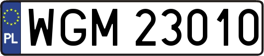 WGM23010