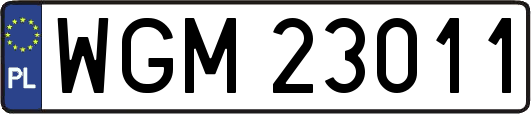 WGM23011