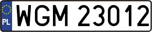 WGM23012