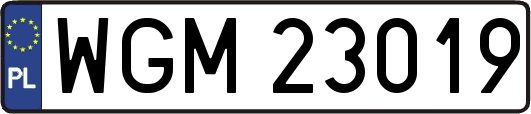 WGM23019