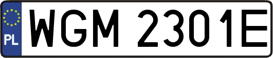 WGM2301E