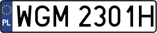 WGM2301H