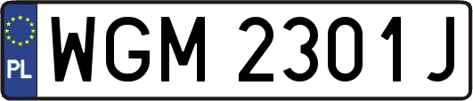 WGM2301J