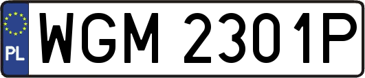 WGM2301P