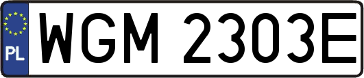WGM2303E