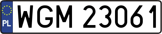 WGM23061