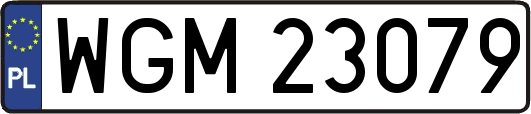 WGM23079