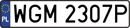 WGM2307P