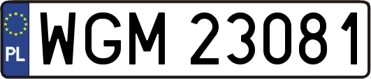 WGM23081