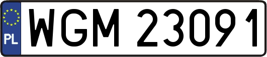 WGM23091