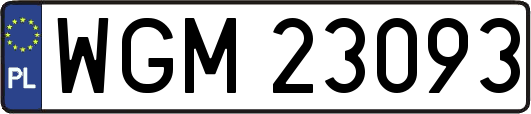 WGM23093